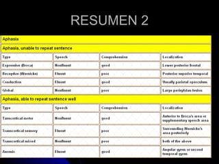 RESUMEN 2 