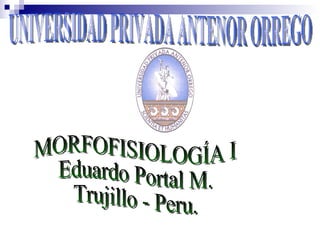 UNIVERSIDAD PRIVADA ANTENOR ORREGO MORFOFISIOLOGÍA I Eduardo Portal M. Trujillo - Peru. 