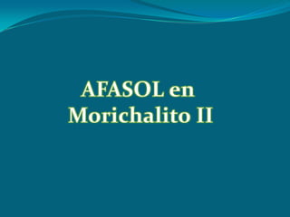 AFASOL en Morichalito II 