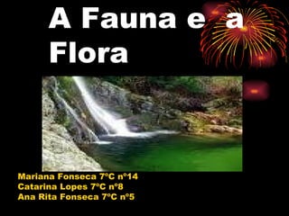 A Fauna e  a Flora Mariana Fonseca 7ºC nº14 Catarina Lopes 7ºC nº8 Ana Rita Fonseca 7ºC nº5 