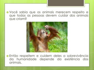  Você sabia que os animais merecem respeito e
que todas as pessoas devem cuidar dos animais
que criam?
 Então respeitem e cuidem deles a sobrevivência
da humanidade depende da existência dos
animais.
 