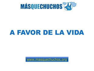 A FAVOR DE LA VIDA


    www.masquechuchos.org
 