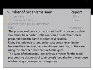 Number of organisms seen Report
 3-9 per slide Rare
 10 or more per slide Few
 Greater than 1 per oil immersion
field Numerous
 The presence of only 1 or 2 acid-fast bacilli on an entire slide
should not be reported untill confirmed by another smear
prepared from the same or another specimen.
 Many bacteriologists tend to by-pass smear examination
because they feel it either is too time-consuming or they are
using the more sensitive culture techniques.
 The value of microscopy , not only as a means for the rapid
presumptive diagnosis of tuberculosis but also for the purpose
of observing a given patients response
 