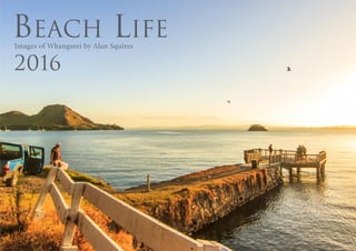 BEACH LIFE
2016
Images of Whangarei by Alan Squires
 
