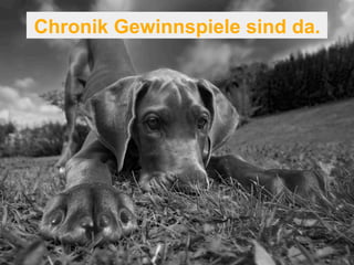 Chronik Gewinnspiele sind da. 
 