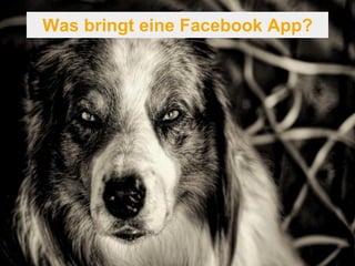 Was bringt eine Facebook App? 
 