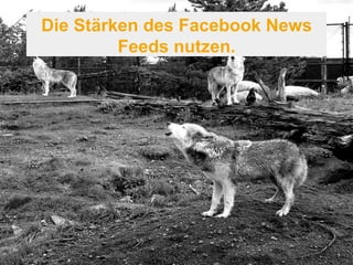 Die Stärken des Facebook News 
Feeds nutzen. 
 