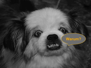 Warum? 
 
