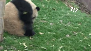 SEITE 3320.03.2018 / AFBMC MÜNCHEN 2018 / HOW TO BID & OPTIMIZE
 