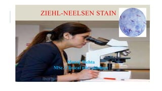 ZIEHL-NEELSEN STAIN
Manoj Mehta
MSc. Clinical microbiology
 