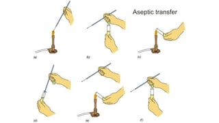 Aseptic transfer
 