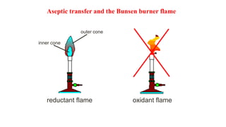 Aseptic transfer and the Bunsen burner flame
reductant flame oxidant flame
inner cone
outer cone
 