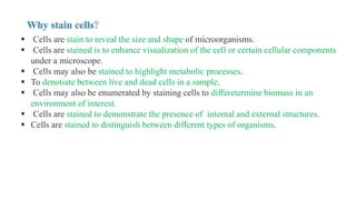  Cells are stain to reveal the size and shape of microorganisms.
 Cells are stained is to enhance visualization of the cell or certain cellular components
under a microscope.
 Cells may also be stained to highlight metabolic processes.
 To denotiate between live and dead cells in a sample.
 Cells may also be enumerated by staining cells to differetermine biomass in an
environment of interest.
 Cells are stained to demonstrate the presence of internal and external structures.
 Cells are stained to distinguish between different types of organisms.
 