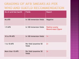 Afb staning | PPTX
