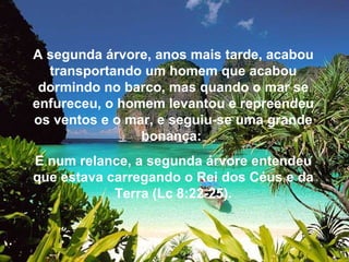 A segunda árvore, anos mais tarde, acabou transportando um homem que acabou dormindo no barco, mas quando o mar se enfureceu, o homem levantou e repreendeu os ventos e o mar, e seguiu-se uma grande bonança:  E num relance, a segunda árvore entendeu que estava carregando o Rei dos Céus e da Terra (Lc 8:22-25). 
