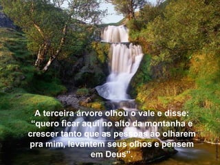 A terceira árvore olhou o vale e disse: “quero ficar aqui no alto da montanha e crescer tanto que as pessoas ao olharem pra mim, levantem seus olhos e pensem em Deus”. 