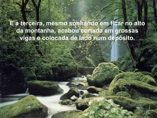 E a terceira, mesmo sonhando em ficar no alto da montanha, acabou cortada em grossas vigas e colocada de lado num depósito. 