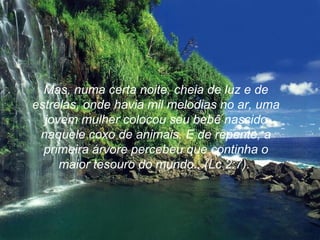 Mas, numa certa noite, cheia de luz e de estrelas, onde havia mil melodias no ar, uma jovem mulher colocou seu bebê nascido naquele coxo de animais. E de repente, a primeira árvore percebeu que continha o maior tesouro do mundo...(Lc 2:7).  
