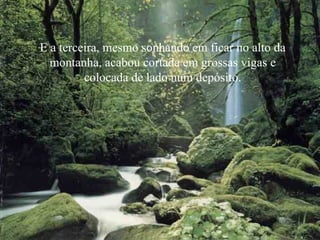 E a terceira, mesmo sonhando em ficar no alto da
  montanha, acabou cortada em grossas vigas e
         colocada de lado num depósito.
 