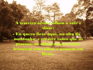 A terceira árvore olhou o vale e
               disse:
- Eu quero ficar aqui, no alto da
 montanha, e crescer tanto que as
  pessoas, ao olharem para mim,
levantem seus olhos e pensem em
               Deus.
 