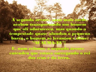 A segunda árvore, anos mais tarde,
  acabou transportando um homem
  que ali adormeceu, mas quando a
tempestade quase afundou o pequeno
 barco, o homem se levantou e disse:
           “ACALMA-TE"!
 E, num relance, a segunda árvore
entendeu que estava carregando o rei
         dos céus e da terra.
 