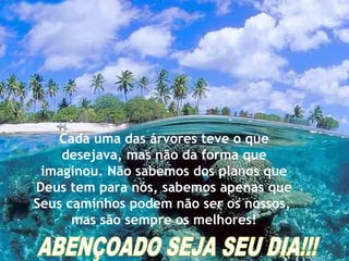 Cada uma das árvores teve o que
desejava, mas não da forma que
imaginou. Não sabemos dos planos que
Deus tem para nós, sabemos apenas que
Seus caminhos podem não ser os nossos,
mas são sempre os melhores!

 