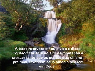 A terceira árvore olhou o vale e disse:
“quero ficar aqui no alto da montanha e
crescer tanto que as pessoas ao olharem
pra mim, levantem seus olhos e pensem
em Deus”.

 