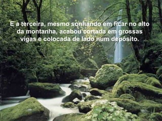 E a terceira, mesmo sonhando em ficar no alto
da montanha, acabou cortada em grossas
vigas e colocada de lado num depósito.

 