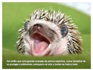 A fábula de porco espinho