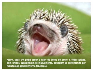 A fábula de porco espinho