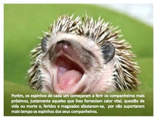 A fábula de porco espinho