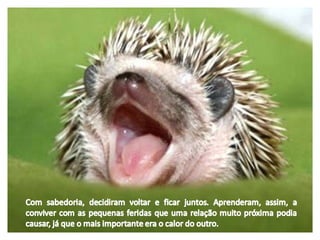 A fábula de porco espinho