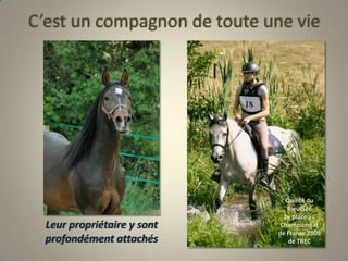 C’est un compagnon de toute une vieQuinté du Rieussec2e place au Championnat de France 2009 de TRECLeur propriétaire y sont profondément attachés 