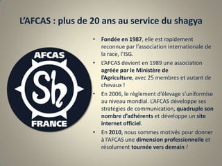 L’AFCAS : plus de 20 ans au service du shagyaFondée en 1987, elle est rapidement reconnue par l’association internationale de la race, l’ISG.L’AFCAS devient en 1989 une association agréée par le Ministère de l’Agriculture, avec 25 membres et autant de chevaux ! En 2006, le règlement d’élevage s’uniformise au niveau mondial. L’AFCAS développe ses stratégies de communication, quadruple son nombre d’adhérents et développe un site internet officiel. En 2010, nous sommes motivés pour donner à l’AFCAS une dimension professionnelle et résolument tournée vers demain !