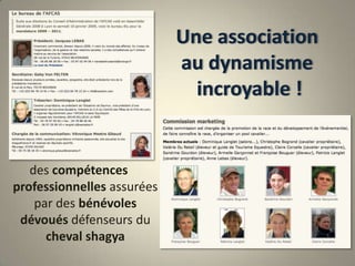 Une associationau dynamisme incroyable !des compétences professionnelles assurées par des bénévoles dévoués défenseurs du cheval shagya