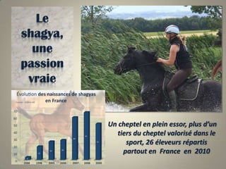 Le shagya,une passion vraieNaissances en France :Un cheptel en plein essor, plus d’un tiers du cheptel valorisé dans le sport, 26 éleveurs répartis partout en  France  en  2010
