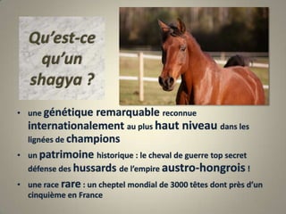 Qu’est-ce qu’un shagya ?une génétique remarquable reconnue internationalement au plus haut niveau dans les lignées de championsun patrimoine historique : le cheval de guerre top secret défense des hussards de l’empire austro-hongrois !une race rare : un cheptel mondial de 3000 têtes dont près d’un cinquième en France