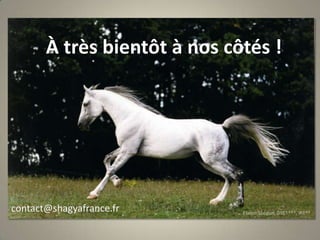 À très bientôt à nos côtés ! contact@shagyafrance.frEtalon Shogun, DRE****, IRE**