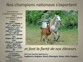 Nos champions nationaux s’exportentSont partis pourle PROCHE-ORIENT (Emirats  Arabes Unis, Barhain, Sultanat d’Oman…) :GANDA KOY, ire***, GARRYA, ire***, HÉRA DE LA CROUZ, ire***, dre**, HIRSOUTE D’OUT LAW, ire***, HORNICA, ire**, INÈS DE CROUZ, ire***, KEDJARI DES SERRES, IRE**, KOHINOR DE CROUZ, ire**, GEORGAT ire***, IMAGO DE CROUZ, IRE**, LAÏKA DU CADE, ire**, LUNA DE CROUZ, ire**, championne d'Espagne 2009, NOVISAAD D'AQUI, ire***, médaille de bronze au Championnat d'Europe 2009…et font la fierté de nos éleveursMais nous exportons également en :   Angleterre, Belgique, Brésil, Allemagne, Suisse, Italie, Espagne…