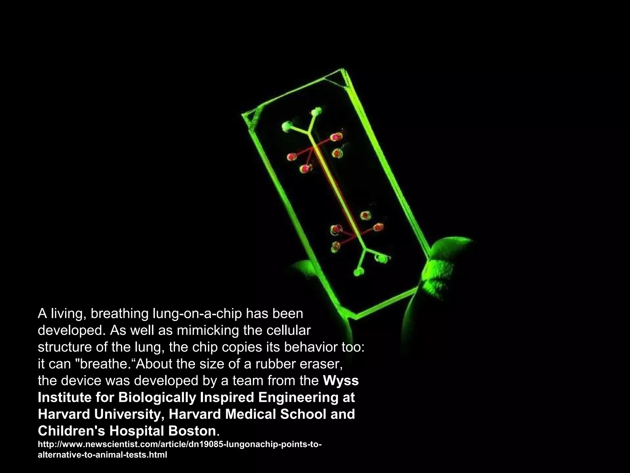 A living, breathing lung-on-a-chip has been
developed. As well as mimicking the cellular
structure of the lung, the chip copies its behavior too:
it can "breathe.“About the size of a rubber eraser,
the device was developed by a team from the Wyss
Institute for Biologically Inspired Engineering at
Harvard University, Harvard Medical School and
Children's Hospital Boston.
http://www.newscientist.com/article/dn19085-lungonachip-points-to-
alternative-to-animal-tests.html
 