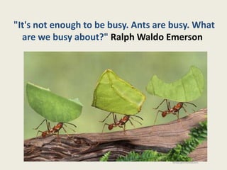 "It's not enough to be busy. Ants are busy. What
  are we busy about?" Ralph Waldo Emerson




                                     ©lucyinnovation
 