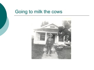 Going to milk the cows
 
