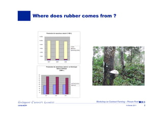 Workshop on Contract Farming – Phnom Penh
14 février 2011CEFEB-MOPP 3
Where does rubber comes from ?
Production de caoucho...