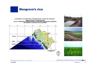 Workshop on Contract Farming – Phnom Penh
14 février 2011CEFEB-MOPP 2
Mangrove’s rice
 