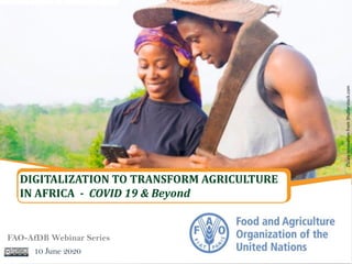 DIGITALIZATION TO TRANSFORM AGRICULTURE
IN AFRICA - COVID 19 & Beyond
FAO-AfDB Webinar Series
10 June 2020
2ScaleInnovationfromShutterstock.com
 
