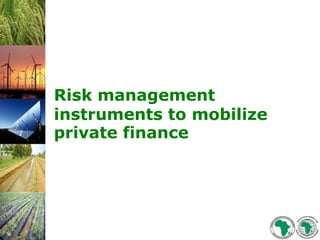 Risk management
instruments to mobilize
private finance
 