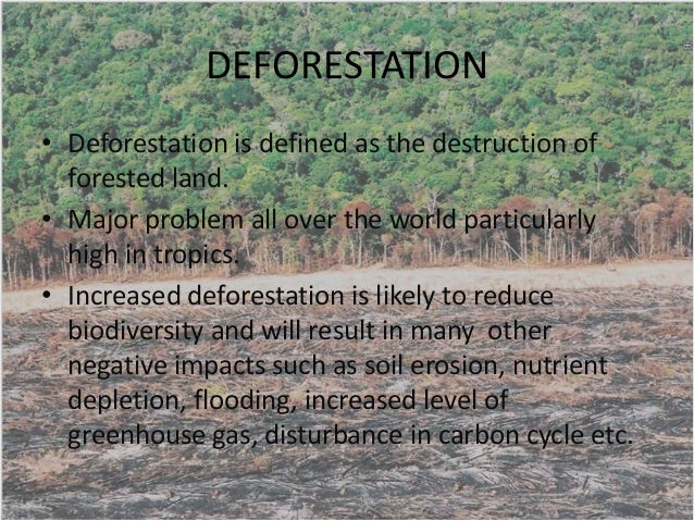 Image Result For Benefits Of Deforestation Image Result For Benefits Of Deforestation