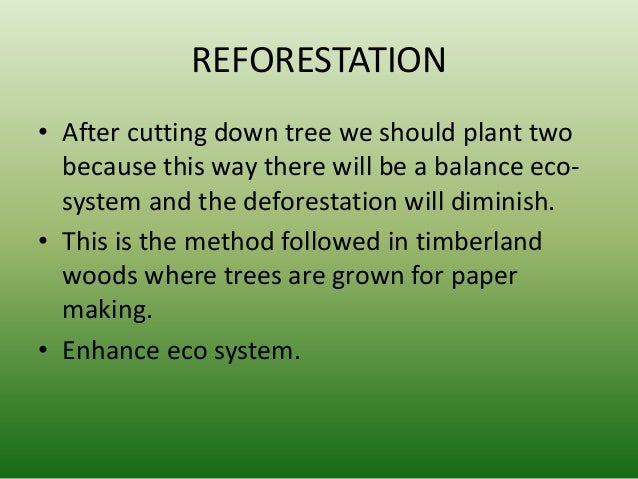 Thesis for research paper on deforestation in rainforest