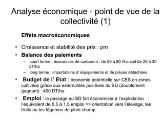 Fatale desertification
