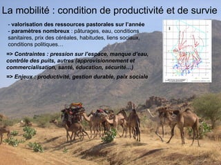 Fatale desertification